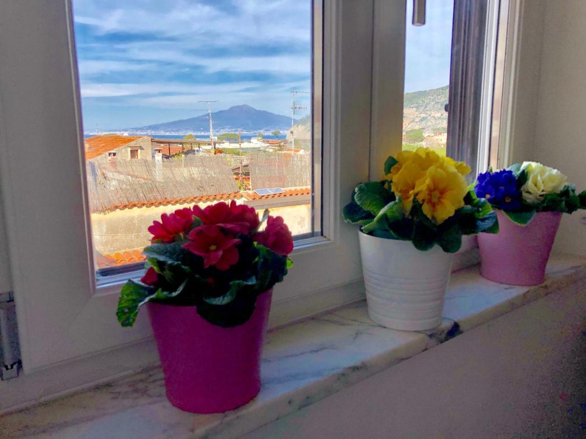 Vesuvio House Appartamento Indipendente E Centrale Сант'Анджелло Экстерьер фото